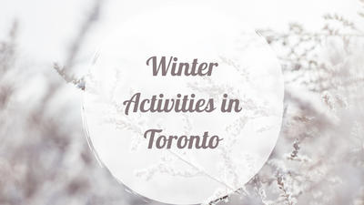 Five Amazing Winter Activity Ideas In Toronto