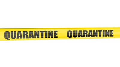 Tips For Recovering From Quarantine Fatigue